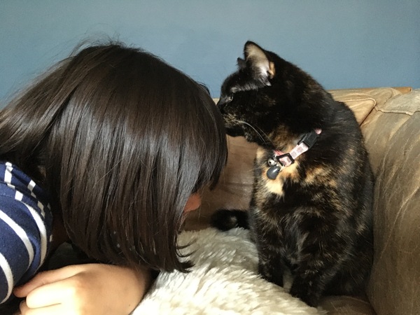 Westminstenders: Dissolved.