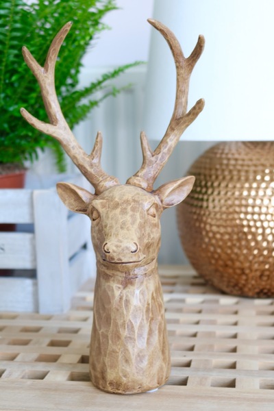 Stag's head Hunt