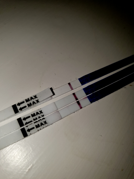 Are these BFP?! 3 internet cheapies..