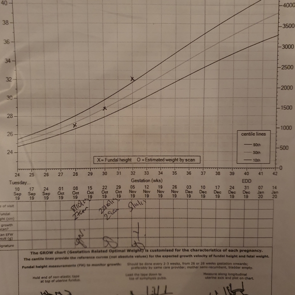 December 2019-Thread 2
