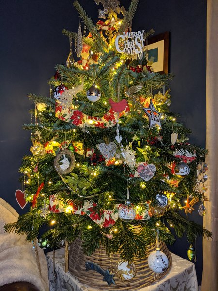 Has everyone decorated and put their real tree up yet?