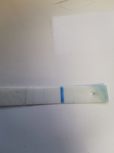 Sainsbury test help