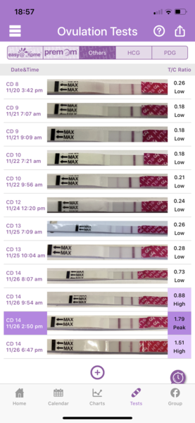 Testing 2nd Week December