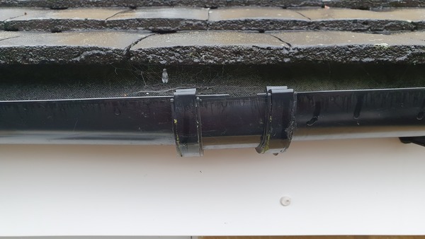 What is this mysterious wet patch on my wall? (Photos)