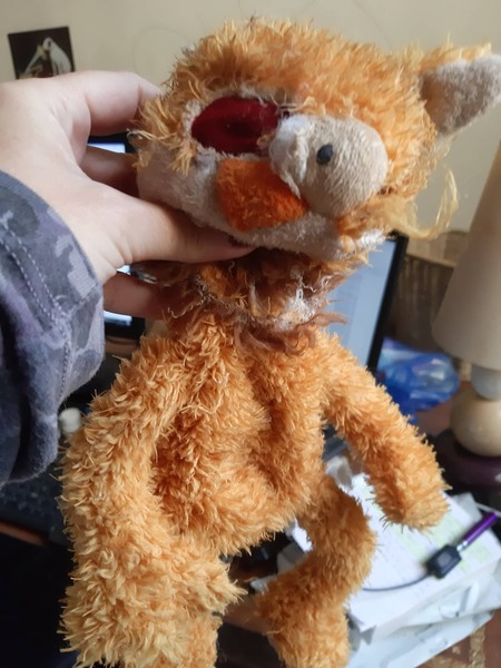 Show me a pic of your dog's favourite toy!