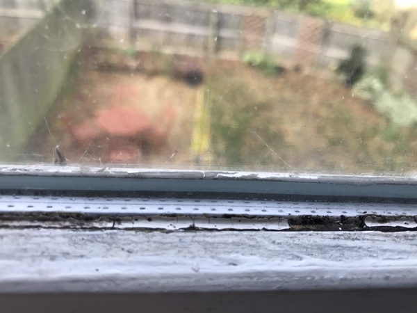 Wooden window frames and sealant