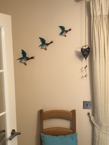 Do these ducks need to be lower?