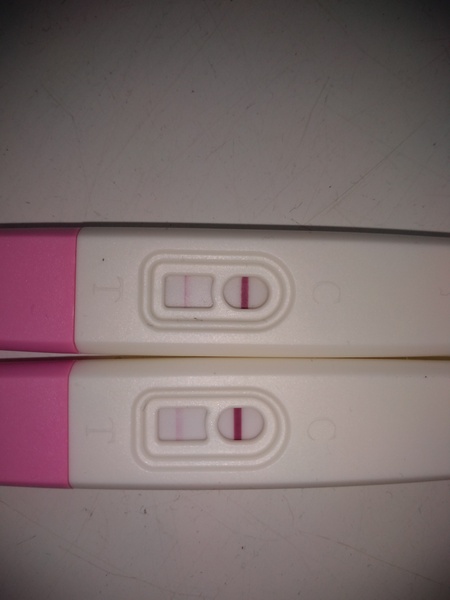 6DPO