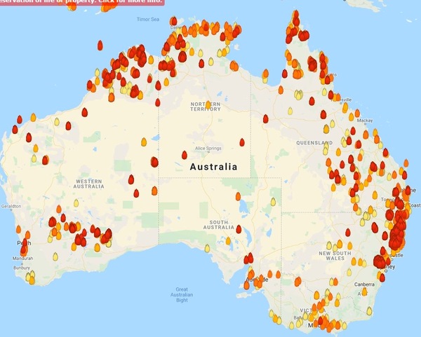 Did anyone see Lewis the koala rescued from the bushfire last night