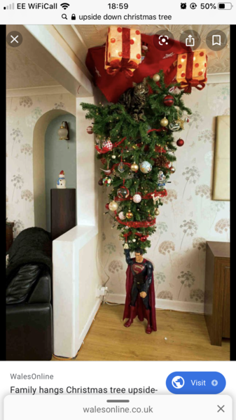 Ingenious ideas for Christmas trees and cruising babies