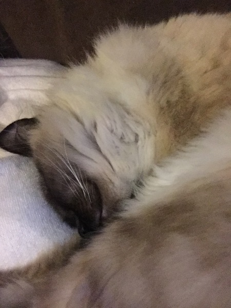I can't move, can I?