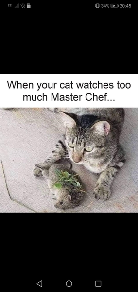 Professional Masterchef 2019: Chefs who can cook things properly are rare.