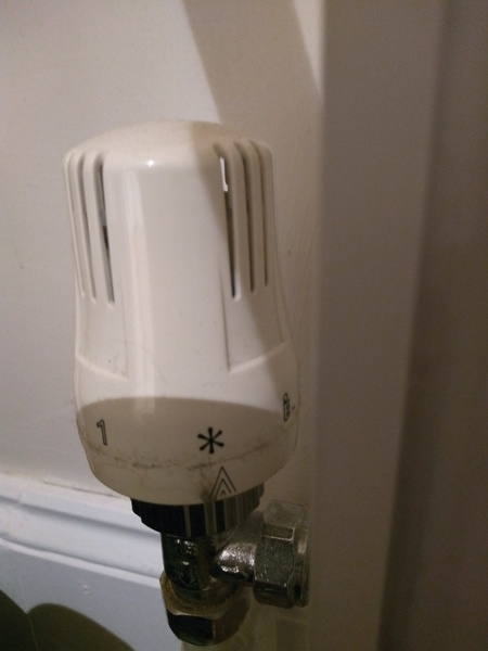 Can I adjust a Thermostatic Radiator Valve?