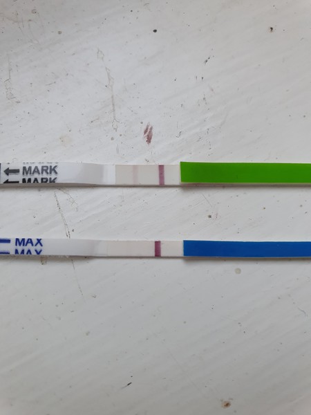 12 DPO - line eyes please