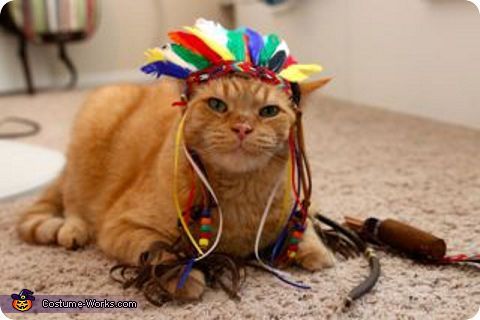 Our old friend is back - Apache Tomcat