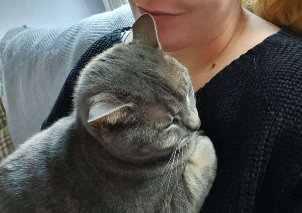 Funny ways your pets sleep