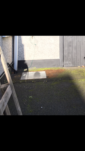 Mysterious damp on kitchen floor and understairs