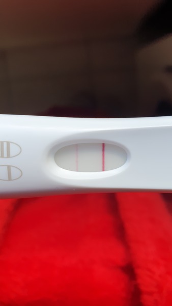 I'm confused, chemical or not pregnant?