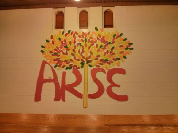 Why does nobody use the word "arse"  any more?