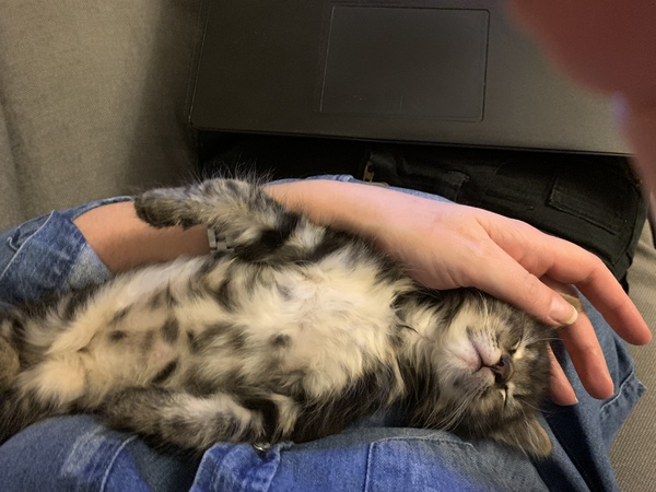 I can't move, can I?