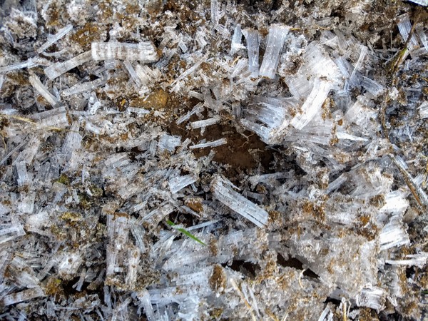 Snow watch  Winter 2019/20