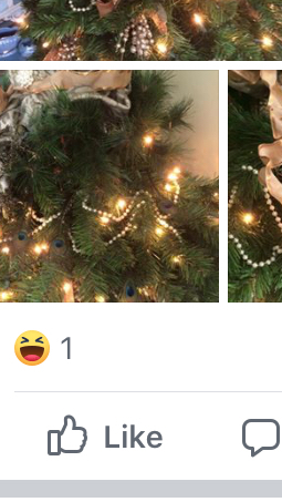 To check you have ordered your tree lady?