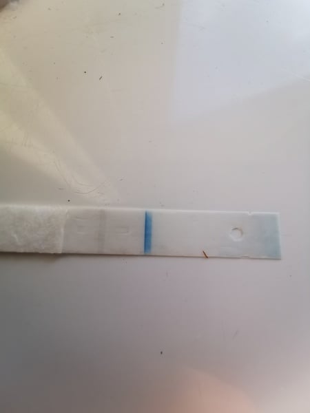 Sainsbury test help