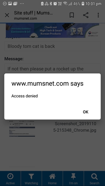 Bloody tom cat is back