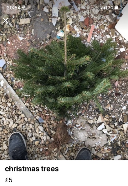 Where’s the Facebook Marketplace Christmas Tat thread?!