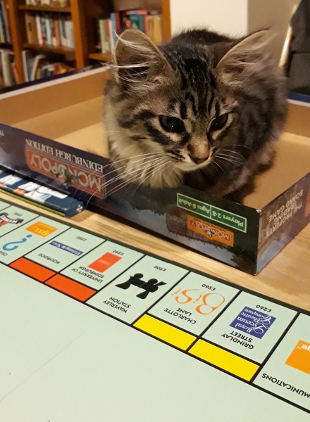 Westminstenders: The end of tribalism