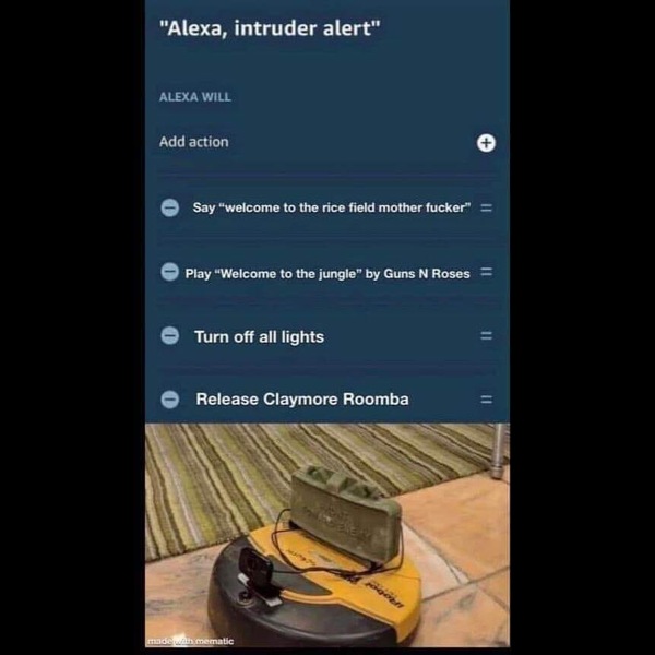 Does anyone have a robotic vacuum cleaner?