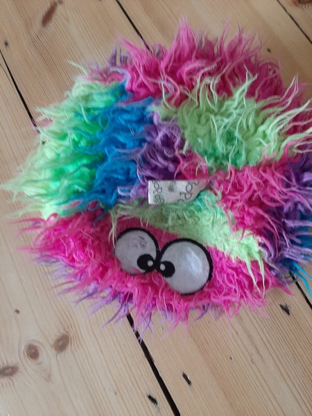 Show me a pic of your dog's favourite toy!