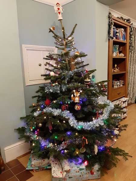 Has everyone decorated and put their real tree up yet?