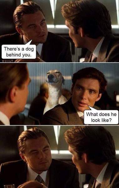 Having a tough day - can anyone share something funny to cheer me up please