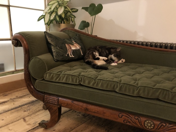 Is my cat being unreasonable