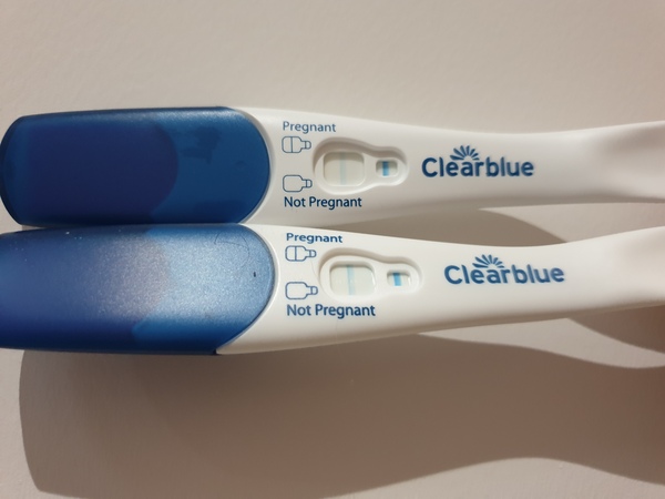 October ICSI/IVF