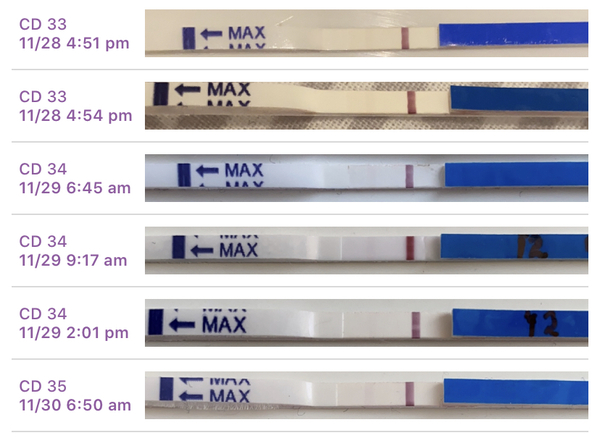 12 DPO - line eyes please
