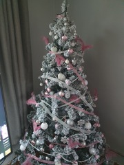 To not put Christmas tree up yet?