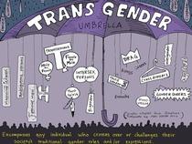 Does MN have a problem with trans people? **MNHQ edited title as OP has apologised for 'accusatory' tone**