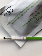 Testing 2nd Week December