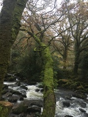 Any Witches Here? Part 10.