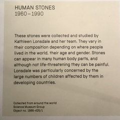 The use of ‘gender’ in museums ?? (Science Museum)