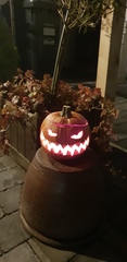 Show off your pumpkins.