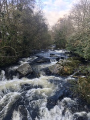 Any Witches Here? Part 10.