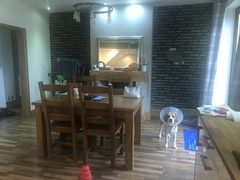 Kitchen diner paint