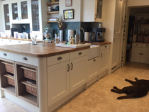Does anyone want to show me their kitchen?