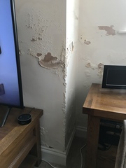 Cause of damp Victorian house