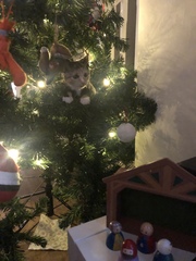 Keeping kitten out of the Xmas tree?