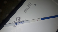What is this line? Not Pregnant.