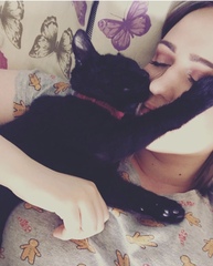 Why does anyone buy a dedicated cat bed?